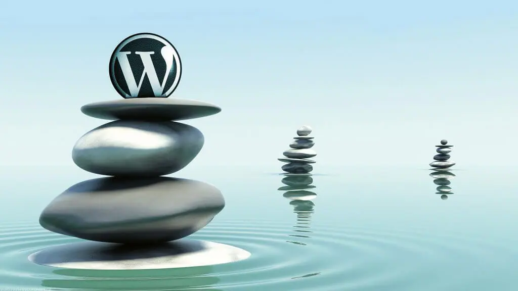 spécialiste CMS WordPress