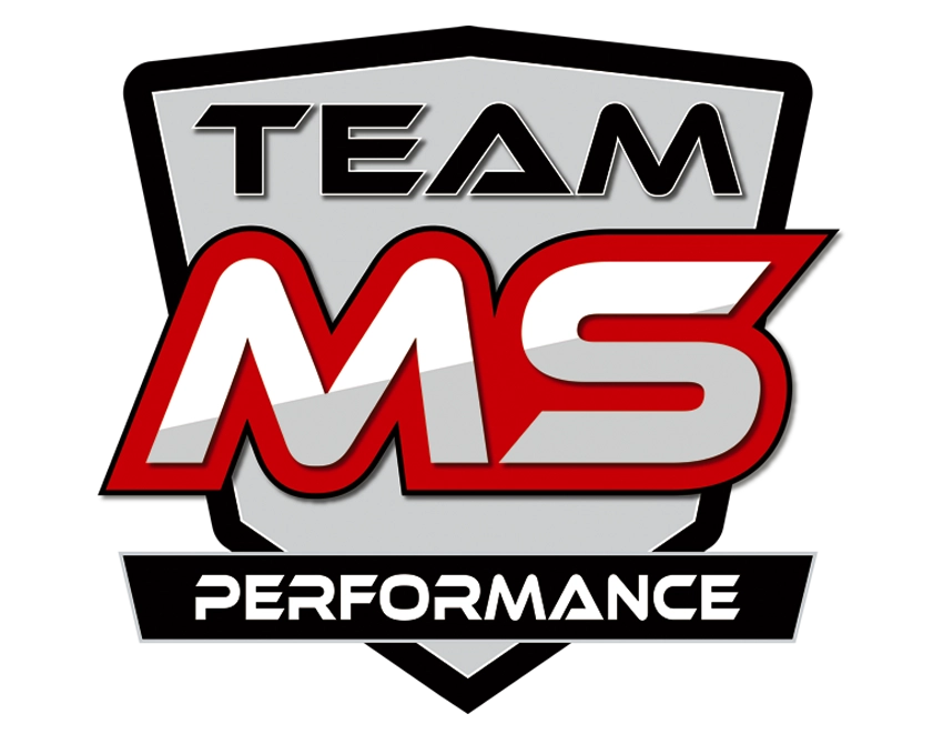 logo-team-ms
