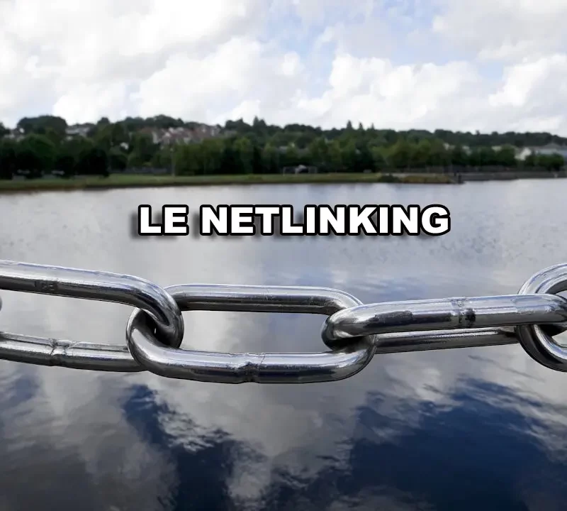 netlinking
